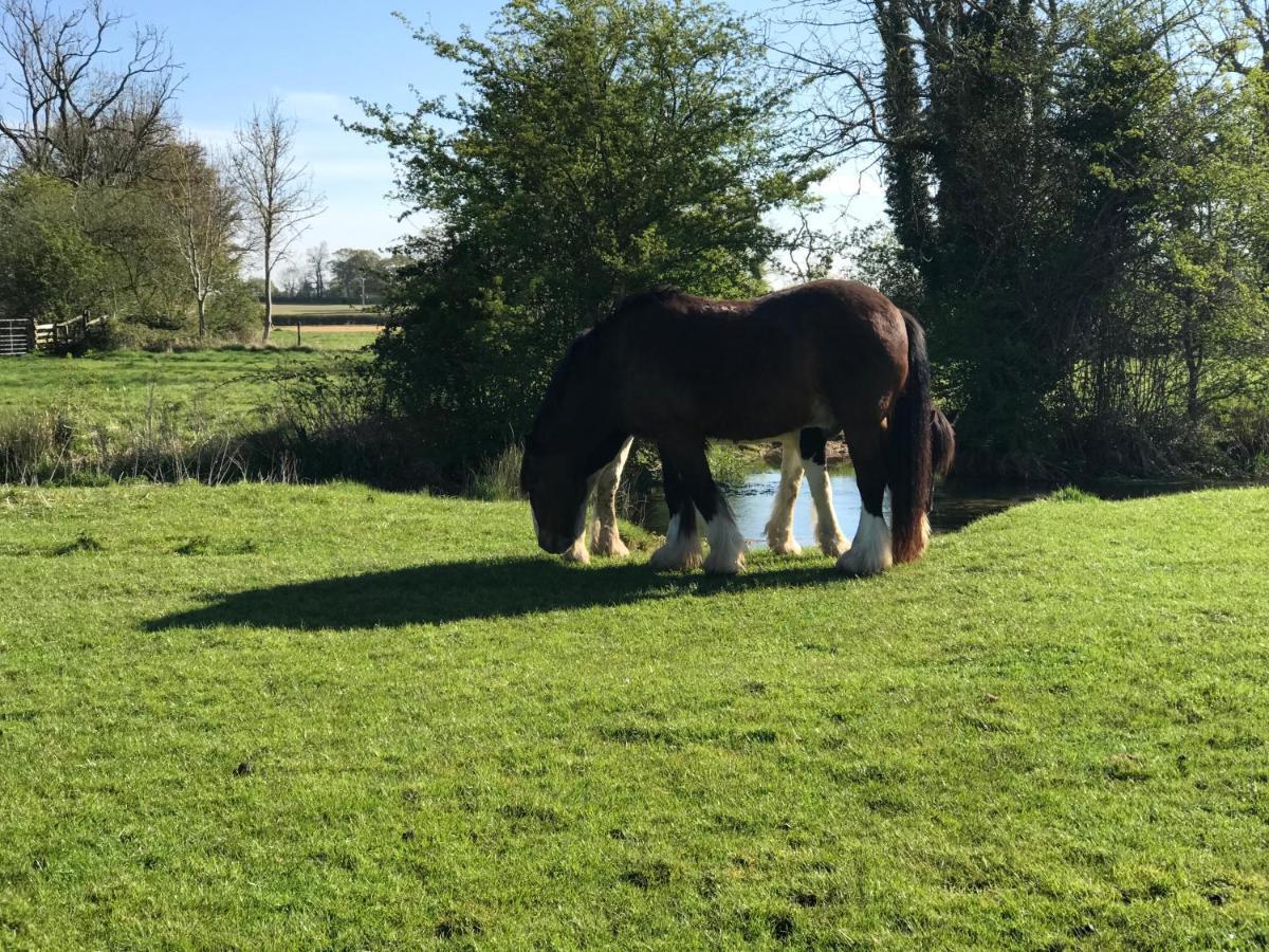 Tupenny Cottage, Old Mill Farm, Cotswold Water Park سيرنسيستر المظهر الخارجي الصورة