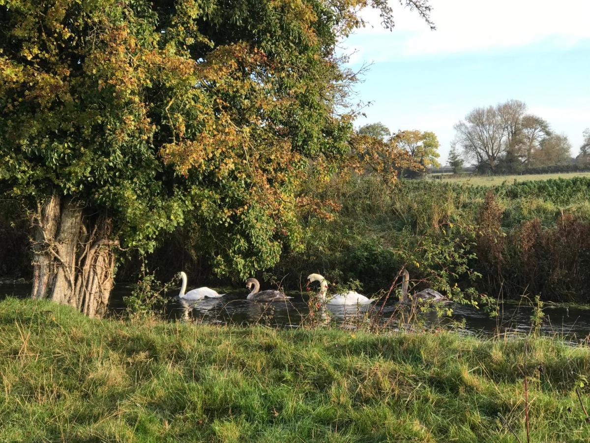 Tupenny Cottage, Old Mill Farm, Cotswold Water Park سيرنسيستر المظهر الخارجي الصورة